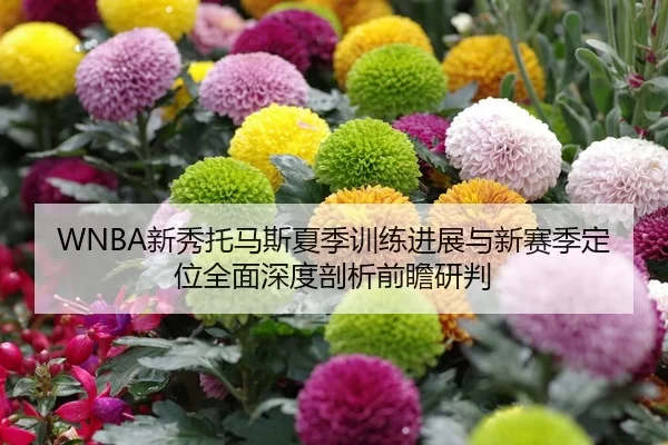xin-xiu-tuo-ma-si-xia-ji-xun-lian-jin-zhan-yu-xin-sai-ji-ding-wei-quan-mian-shen-du-pou-xi-qian-zhan-yan-pan-2-589.jpg